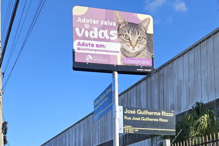 Infront / Divulgação Infront / Divulgação