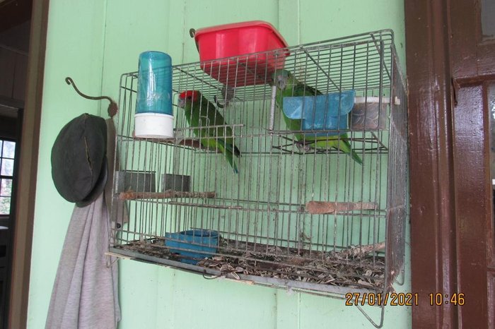 Sd Mendes/Patram / Divulgação