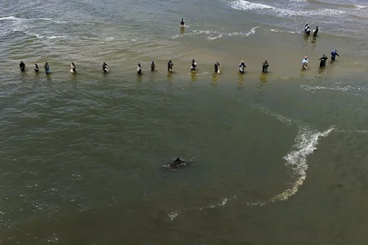 IMBÉ, RS, BRASIL, 17/01/2026: Calor e céu com nuvens atraem turistas e pescadores para a Barra de Imbé. O local é famoso pela presença de botos, que auxiliam os pescadores na pesca de cardumes. Fotos: Duda Fortes/Agencia RBS<!-- NICAID(16205961) -->