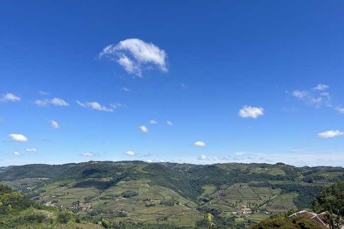 Rosane Tremea / Arquivo Pessoal Rosane Tremea / Arquivo Pessoal