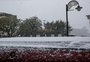 Neve cai na Argentina e no Uruguai; há chance de o fenômeno ocorrer no RS