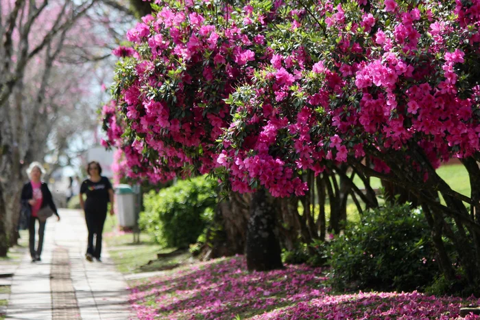 Jean Pimentel / Grupo RBS Jean Pimentel / Grupo RBS