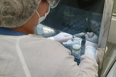 O Banco de Leite Humano AMA Tacchini de Bento Gonçalves,  está com os estoques de leite materno abaixo do esperado. Atualmente, pouco mais de 45,5 litros estão disponíveis para utilização. O volume é capaz de alimentar os bebês da UTI Neonatal do Hospital Tacchini pelos próximos 17 dias.<!-- NICAID(15406788) -->