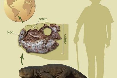 Fóssil de rincossauro com "bico de papagaio" foi encontrado em escavações em Agudo, na região Central do RS<!-- NICAID(16266428) -->