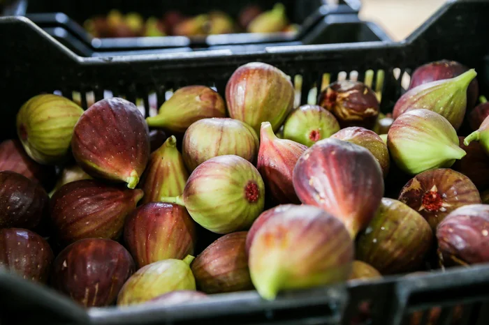 Neimar De Cesero / Agencia RBS