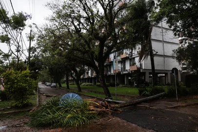 Renan Mattos / Agencia RBS PORTO ALEGRE, RS, BRASIL, 16-11-2025: Chuva e ventos com rajadas de mais de 90 km/h atingem a capital na tarde de domingo. Foto: Renan Mattos / Agência RBS.<!-- NICAID(16168492) -->