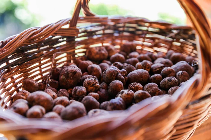 Neimar De Cesero / Agencia RBS