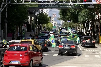 Vestidos de verde e amarelo, empunhando bandeiras do Brasil, milhares ocuparam as três pistas da Rua Sinimbu (incluindo a faixa de ônibus), desde o largo São Pelegrino, até o bairro de Lourdes, na altura da Rua Vereador Mário Pezzi.A carreata iniciou por volta das 15h, percorrendo as principais ruas de Caxias. Empunhando cartazes com os dizeres: "Bolsonaro no poder e fim do lockdown", grande parte dos manifestantes criticava nominalmente o governador do Estado Eduardo Leite e o prefeito de Caxias do Sul, Adiló Didomenico, ambos do PSDB. Entre os gritos de ordem: "Queremos trabalhar" e "Caxias vai ser livre".<!-- NICAID(14734804) -->