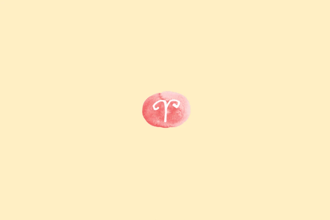 taka-hashi/Shutterstock | Portal EdiCase