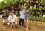 Família recebe turistas para colherem uvas cultivadas com irrigação e coleta de água da chuva