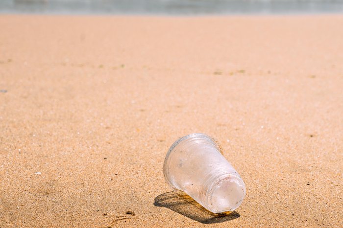 Alexandre Rotenberg / stock.adobe.com