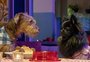 Michele Vaz Pradella: triângulo amoroso de cãezinhos rouba a cena em Família é Tudo