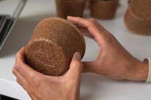 Orquídea Alimentos / Divulgação