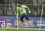 "No Brasil se demanda mais do treinador da Seleção Brasileira do que do presidente da República", afirma ex-goleiro do Inter