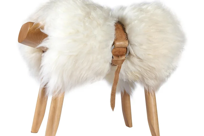 Carlos Ben / divulgação