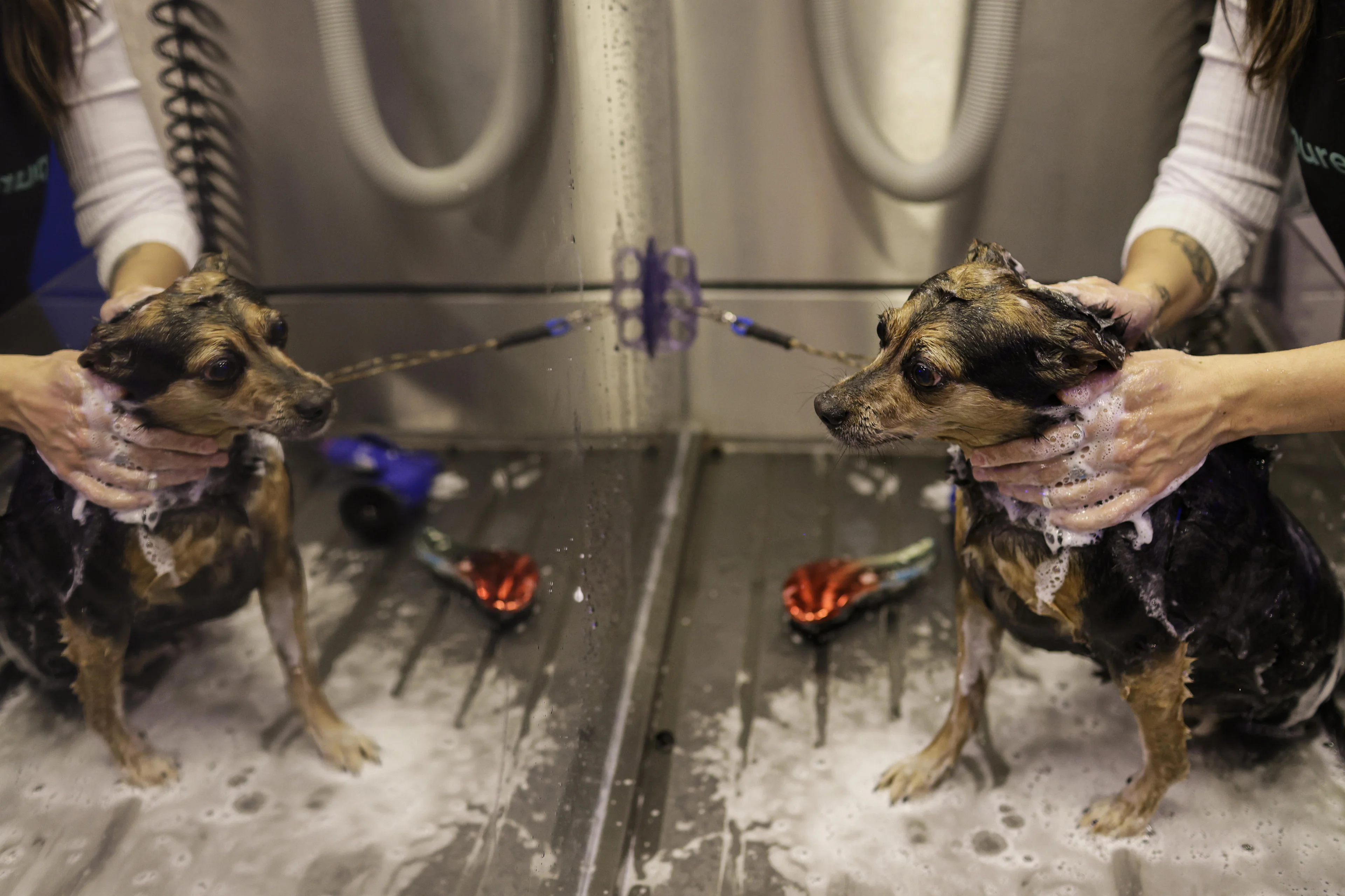 Mateus Bruxel/Agencia RBS