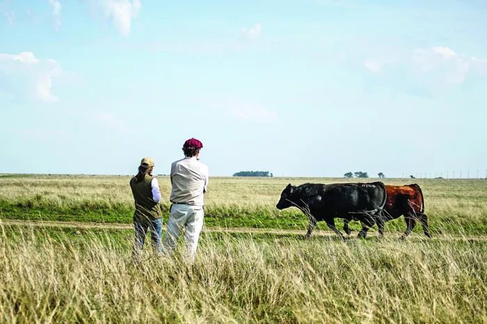 Surfari /Banco Gap / Divulgação