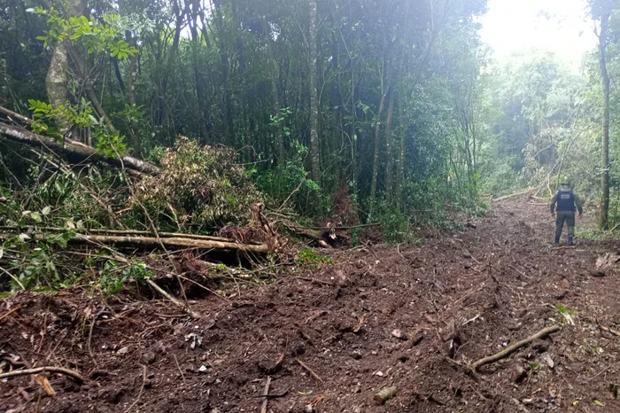 Comunicação 2ª CIPAM de Caxias do Sul / Divulgação