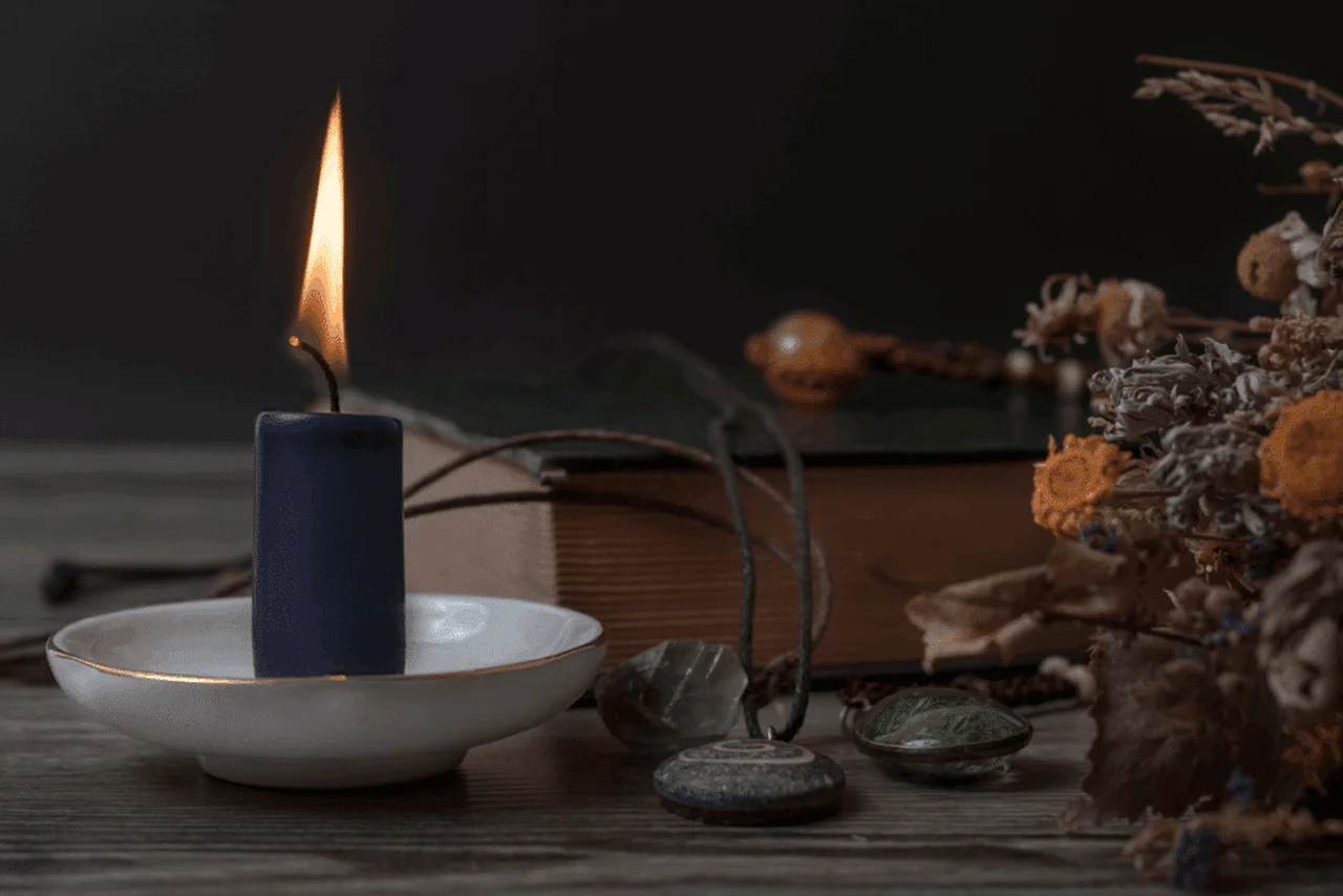 Aliaksei Shandalin/Shutterstock | Portal EdiCase