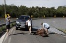 Porto Alegre, RS, Brasil, 08-05-2024: Égua agoniza às margens da Freeway após ser retirada da água por voluntários, que relatam que ela abortou a cria no resgate. Foto: Mateus Bruxel / Agência RBS<!-- NICAID(15758566) -->