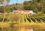 Entre parreirais e campos de lavanda, famílias transformam produção agrícola em turismo