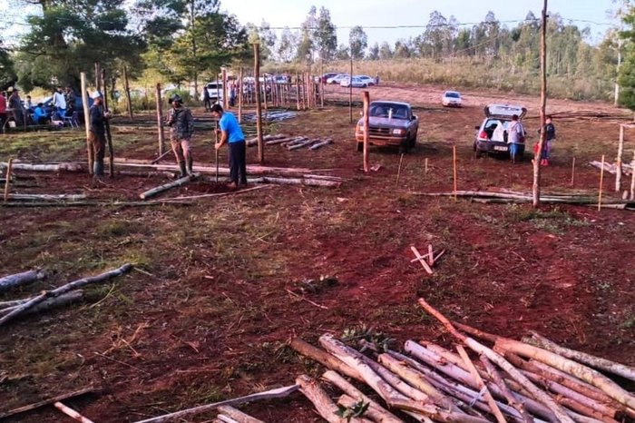 Alencar Cavalheiro / MST / Divulgação Alencar Cavalheiro / MST / Divulgação