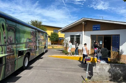 Romila Amaral / Divulgação Mais de 6,5 mil cães e gatos foram castrados em parceria entre a prefeitura de Caxias e a UCS em 2025<!-- NICAID(16205874) -->