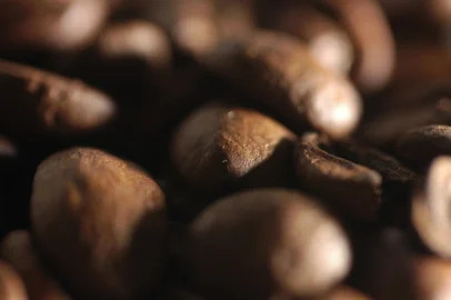 Grãos de café.<!-- NICAID(1010004) -->