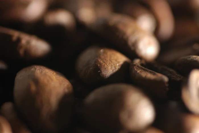 Jefferson Botega / Agencia RBS Jefferson Botega / Agencia RBS