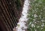 Chuva de granizo atinge mais de 100 residências em Bom Jesus