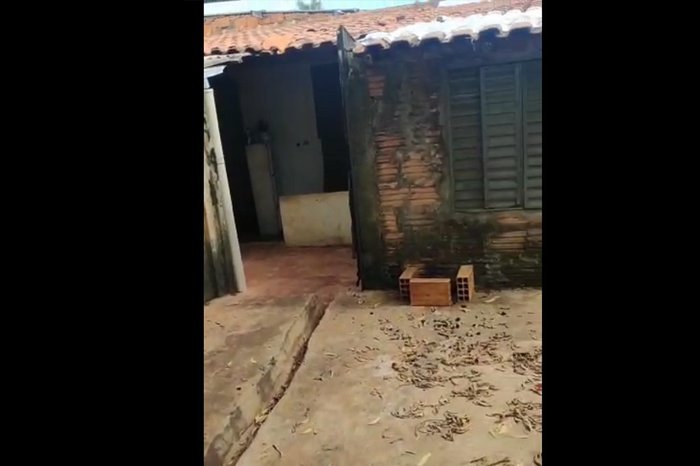 Polícia Civil / Reprodução
