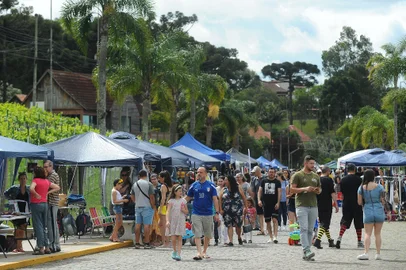 CAXIAS DO SUL, RS, BRASIL, 27/11/2022. Feira Turística e Cultural, realizada  neste domingo (27) nos Pavilhões da Festa da Uva, reúne mais de 400 expositores de diversas áreas. (Bruno Todeschini/Agência RBS)<!-- NICAID(15278053) -->