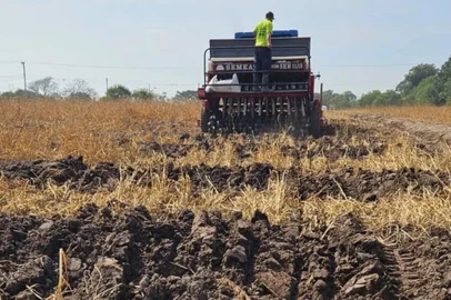 Novas culturas na abertura oficial da colheita do arroz <!-- NICAID(16371884) -->