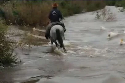 Em Uruguaiana, propriedades formaram correnteza com a enchente do Rio Quaraí<!-- NICAID(16063647) -->