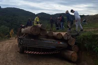 Trabalhador morre e outro fica ferido após soterramento por carga de eucalipto em Fontoura Xavier<!-- NICAID(16282110) -->