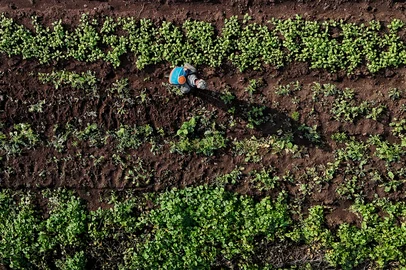 O instituto Imazon, em parceria com outras organizações, divulgou um ranking elegendo as cidades brasileiras com melhor qualidade de vida. A única gaúcha é Presidente Lucena.A cidade tem a pecuária e o pequeno agricultor como destaque. A plantação de alface é uma das principais atividades.Local: Presidente Lucena<!-- NICAID(16050757) -->