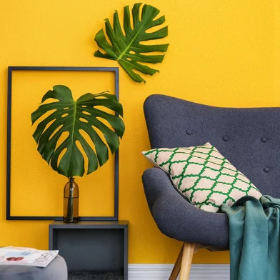 Sala de estar - Foto: New Africa/stock.adobe.comFonte: 205703808<!-- NICAID(15538591) -->