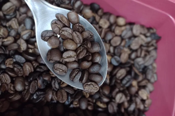 Tatiani Vargas Hendler / Arquivo pessoal/Divulgação