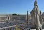 Missa ao papa Francisco reúne milhares de fiéis no Vaticano