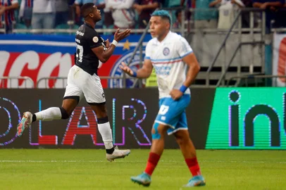 Junior Santos, Botafogo