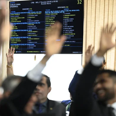 Comissão Parlamentar Mista de Inquérito do INSS - 2025 (CPMI - INSS) realiza oitiva da coordenadora da Câmara de Coordenação e Revisão Previdenciária da Defensoria Pública da União (DPU).O objetivo da comissão é investigar fraudes no Instituto Nacional do Seguro Social (INSS), envolvendo descontos irregulares em benefícios de aposentados e pensionistas. A CMPI é formada por senadores e deputados, num total de 32 titulares e igual número de suplentes.Foto: Andressa Anholete/Agência Senado<!-- NICAID(16114611) -->