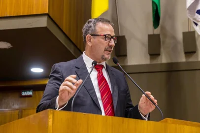 Rodrigo Positivo / Divulgação Guiomar Vidor assume novamente como presidente da Fecosul. <!-- NICAID(15846588) -->