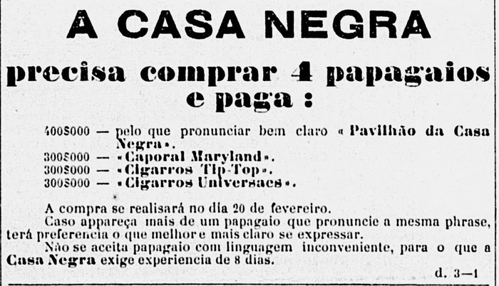 Reprodução / A Federação