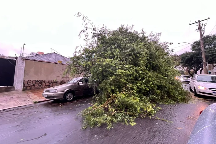 Paula Neiman / Agencia RBS Paula Neiman / Agencia RBS