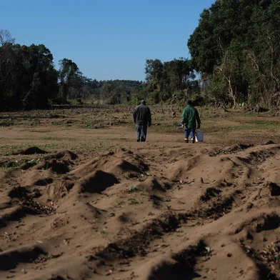 Estrela, RS, Brasil - Estudo liderado pelo Senar-RS está coletando amostras de solos para mapear os estragos da enchente na produção agrícola. Enxurrada levou a camada mais fértil das terras atingidas.Indexador: jeff botega<!-- NICAID(15803511) -->
