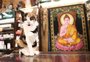 Conheça a gata Catarina, que vive há 16 anos em uma loja esotérica da Cidade Baixa