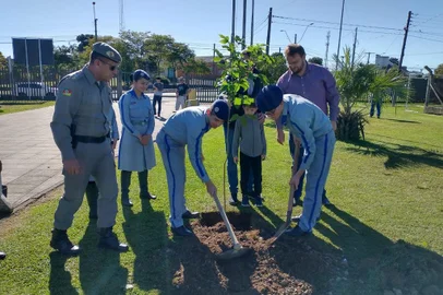 Dia da Árvore será comemorado em Caxias do Sul com plantio de árvores.<!-- NICAID(15546073) -->