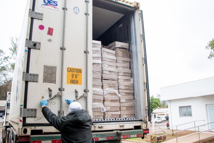 Kastenes Casale / Dália / Divulgação