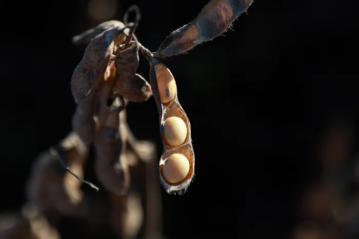 Jeff Botega / Agencia RBS