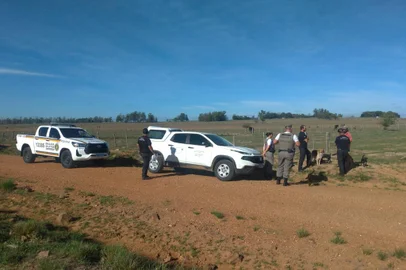 Número de abigeatos no primeiro bimestre de 2023 alcança o menor patamar em 10 anos no Rio Grande do Sul. - Brigada Militar/Divulgação<!-- NICAID(15375573) -->